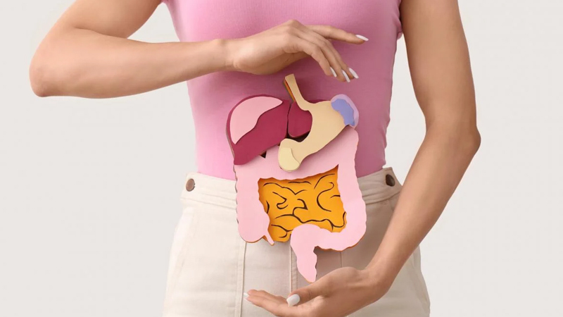 Həzm sistemini normallaşdırmaq üçün nə yemək lazımdır?