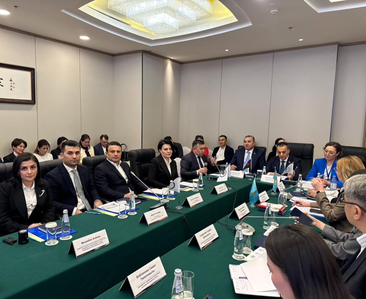 Astanada Türk Dövlətləri Autizm Federasiyasının növbəti tədbiri keçirildi