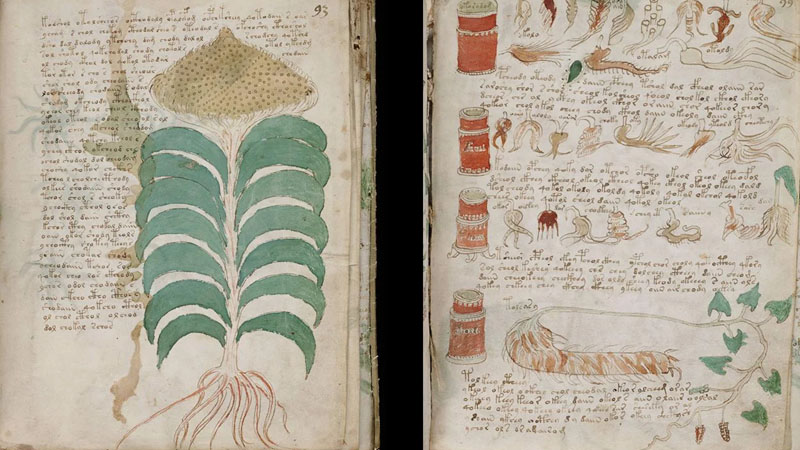 Voyniçin sirli əlyazması orta əsrin şifrəsi ola bilər - Alimlər heyrətdədir