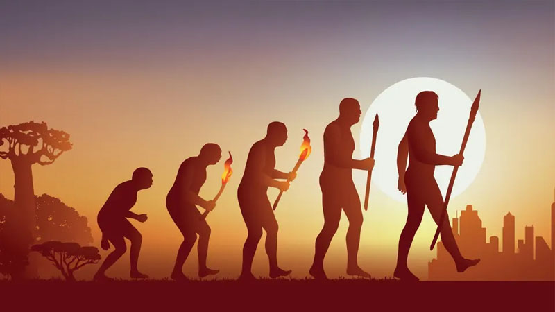 İnsanlar təkamül zamanı niyə tüklərini itirdi və əvəzində nə qazandı? - Bioloqun izahı