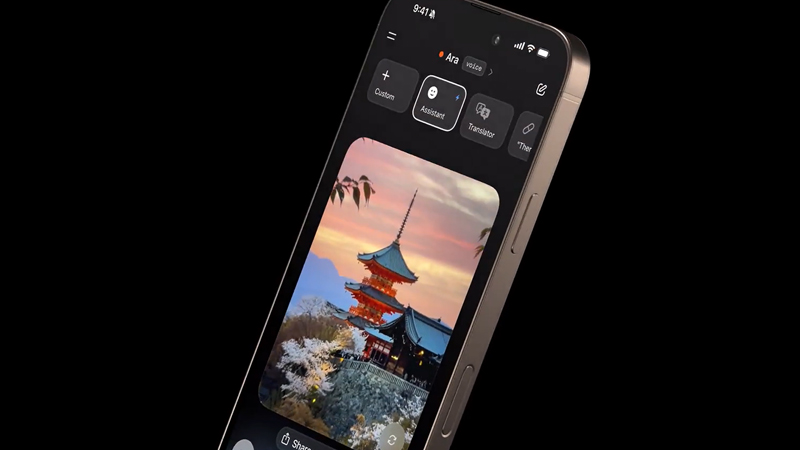 Bu ölkə İlon Maskın çatbotuna girişi blokladı