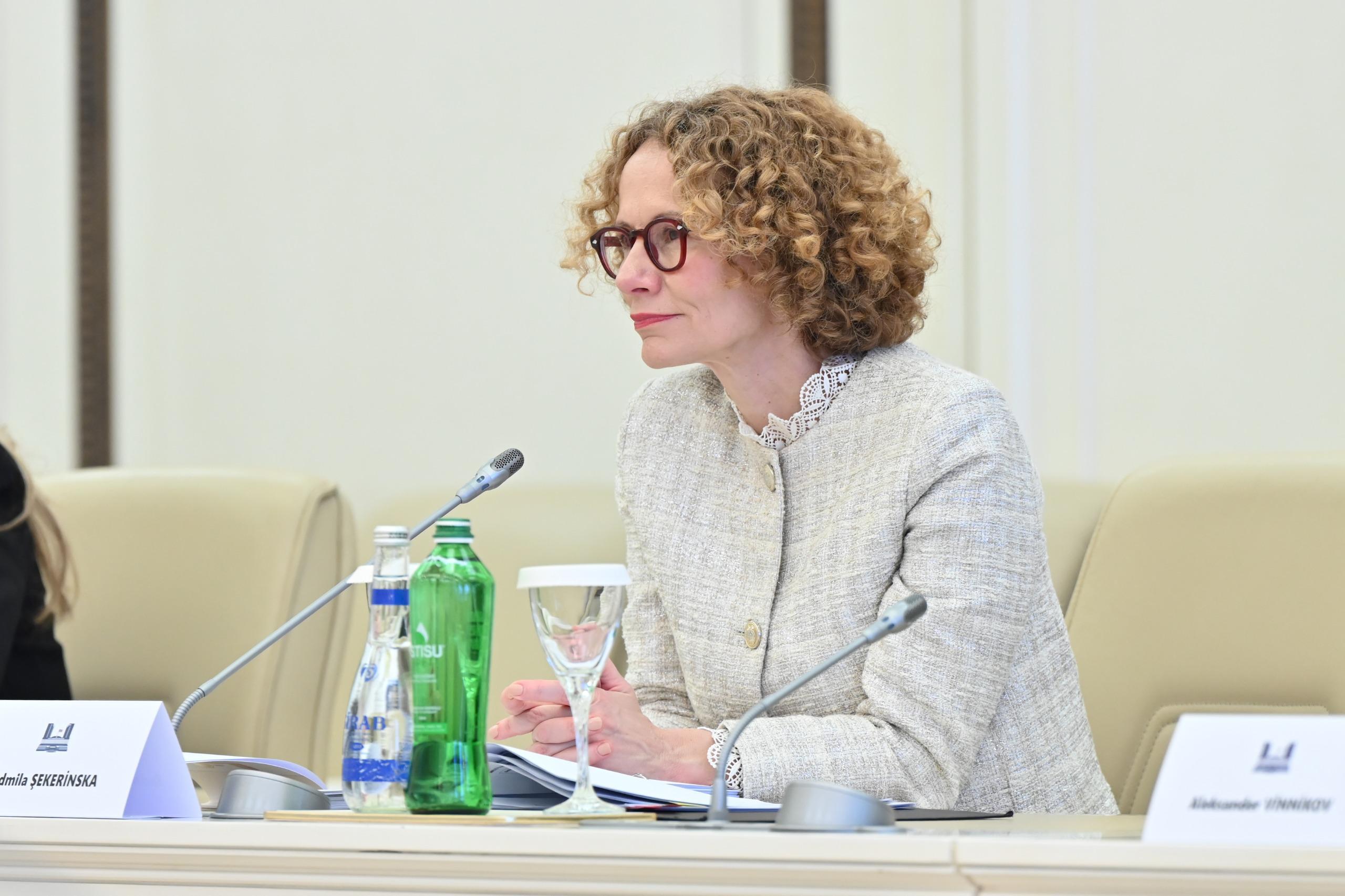 Sahibə Qafarova NATO Baş katibinin müavini ilə görüşdü