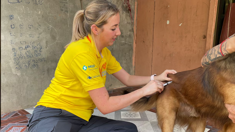Məqsəd - sıfır ölüm: Anası quduzluqdan vəfat edən britaniyalı minlərlə iti peyvəndlədi