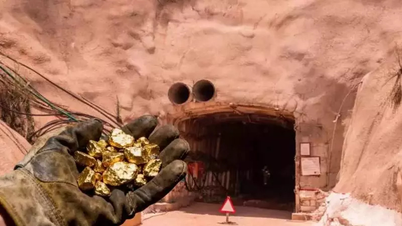Qızıl bahalaşdı, diqqət yerin altına yönəldi - İldə 6 min unsiya çıxarılacaq