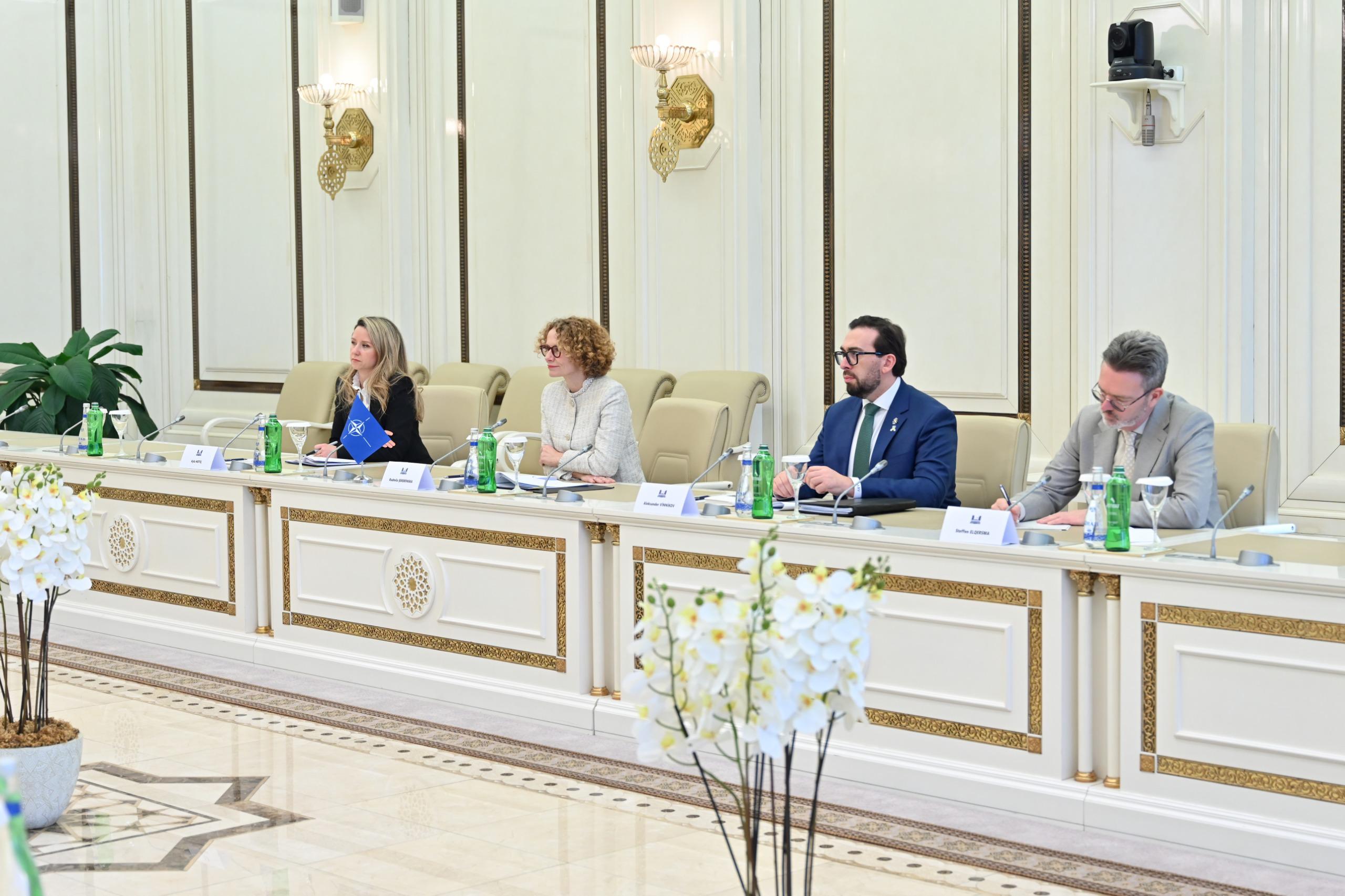 Sahibə Qafarova NATO Baş katibinin müavini ilə görüşdü