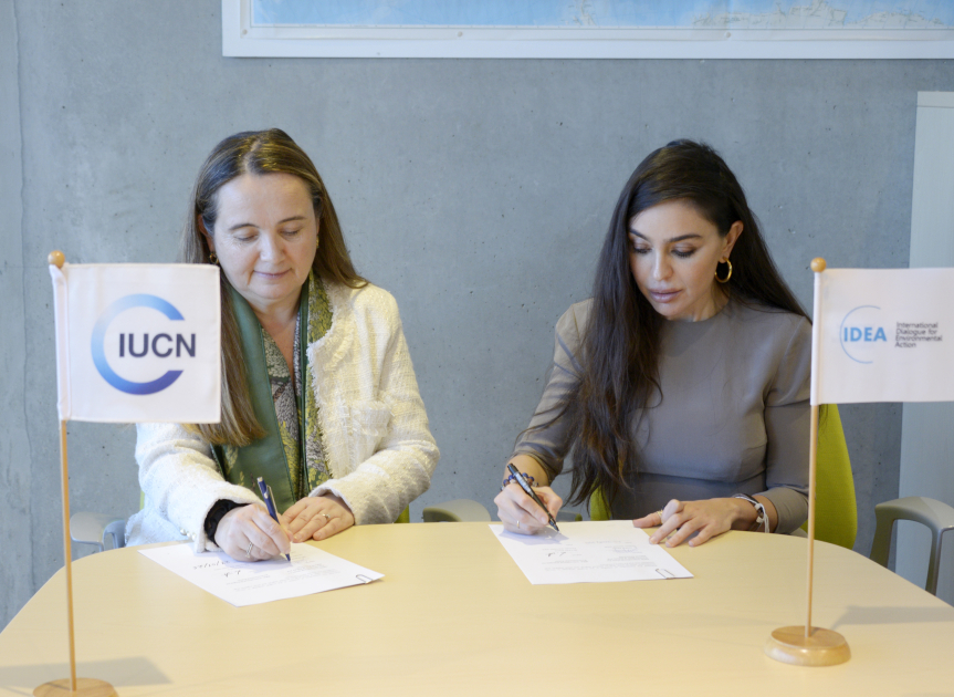 Leyla Əliyeva İsveçrədə Qretel Agilar ilə görüşdü (FOTOLAR)