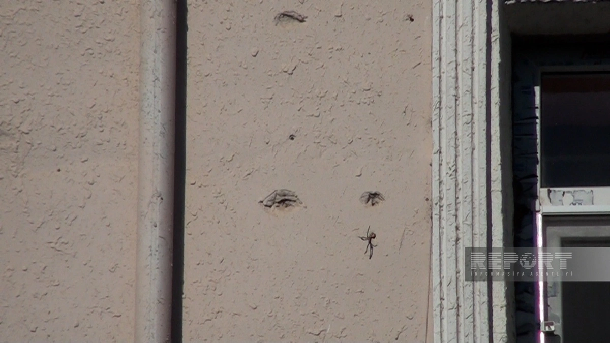 Neftçalada yanvar faciəsinin şahidi: Əsgərlərin vəhşiliyini sözlə ifadə etmək çətindir