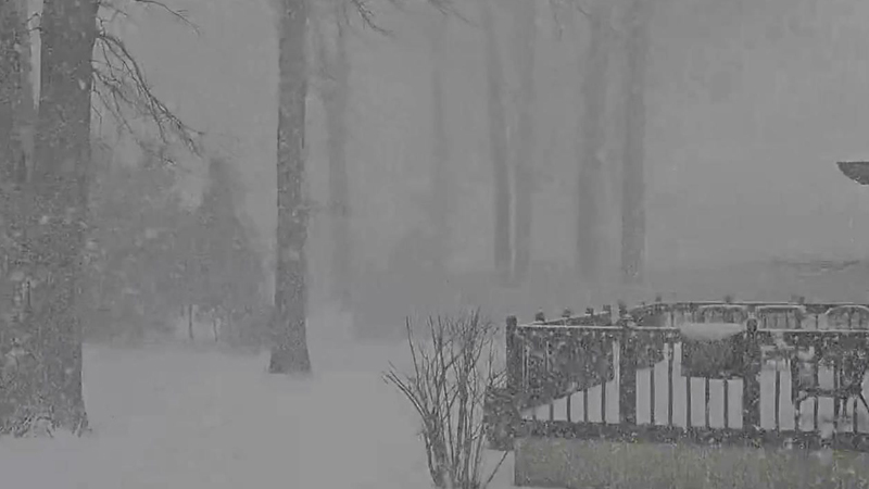 ABŞ-da fəlakətli buz fırtınası: 100 milyon insan təhlükə altındadır