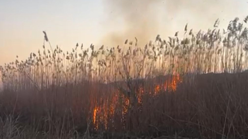 Cəbrayılda yanğın törədən şəxs tutuldu