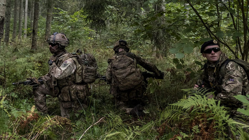 Ukraynadakı Britaniya sülhməramlılarının 