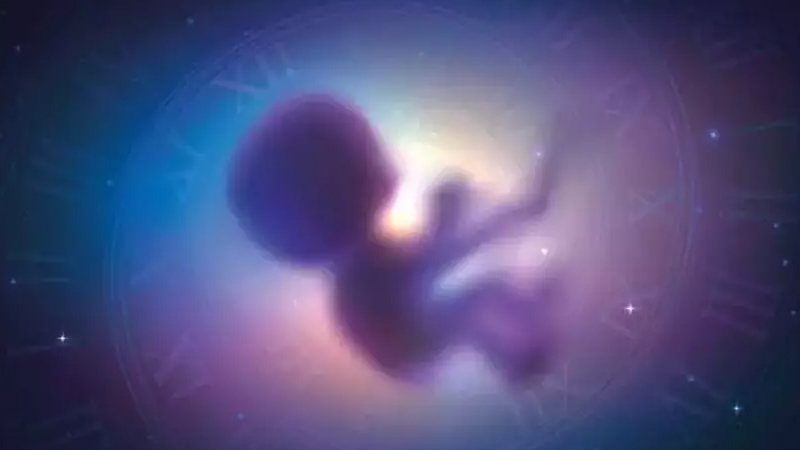 2026-cı ildə trend olacaq yeniliklər: Kosmosda doğulacaq ilk körə...