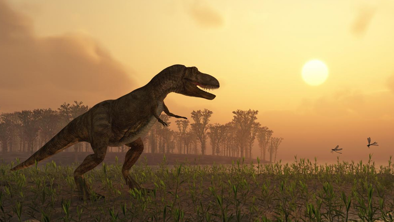 Avstraliyada ən böyük dinozavr izləri kolleksiyası tapıldı