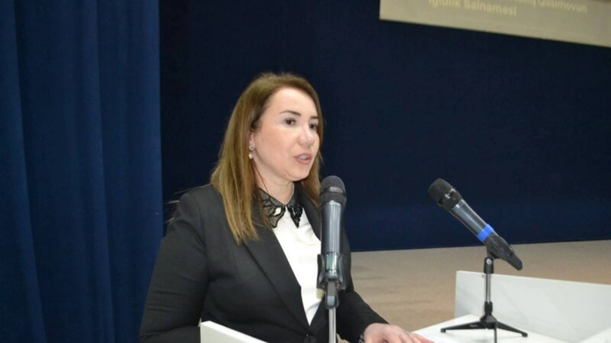 Sektor müdiri vəzifəsindən azad edildi