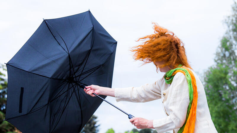 Küləkli hava şəraiti ilə bağlı sarı xəbərdarlıq verildi