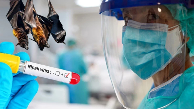 ÜST həyəcan təbili çalır: Nipah yeni pandemiyaya səbəb ola bilərmi?