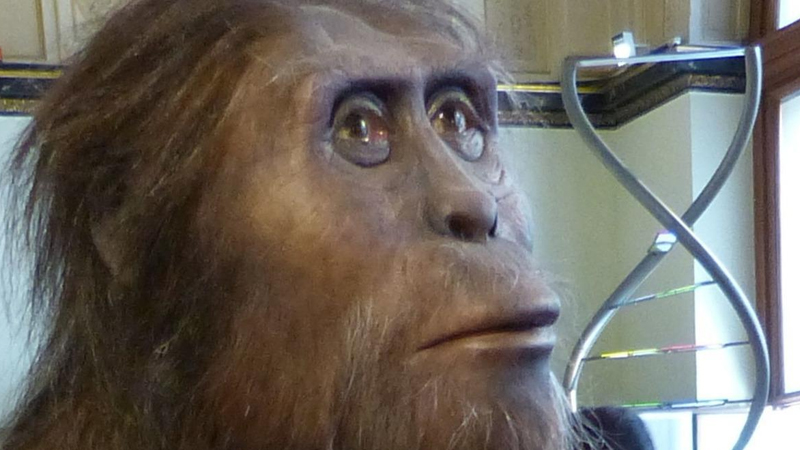 İnsanlar nə vaxt iki ayaq üstə yeriməyə başlayıb? - Alimlərdən yeni və gözlənilməz faktlar