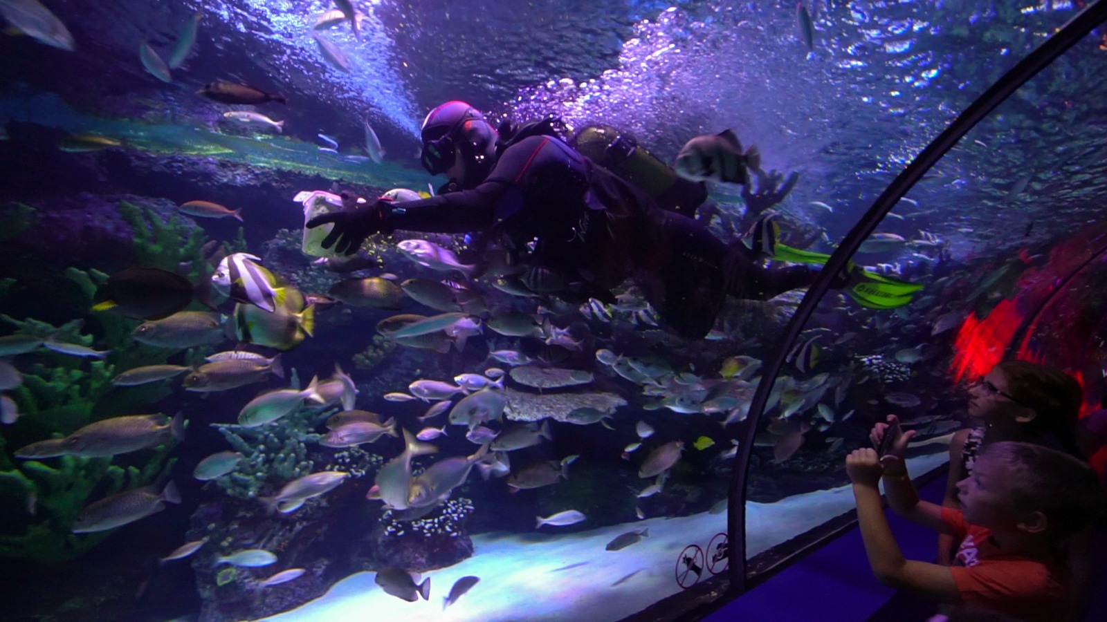 Antalyanın tematik parkları bu qış və yazda da qonaqlarını gözləyir (FOTO)