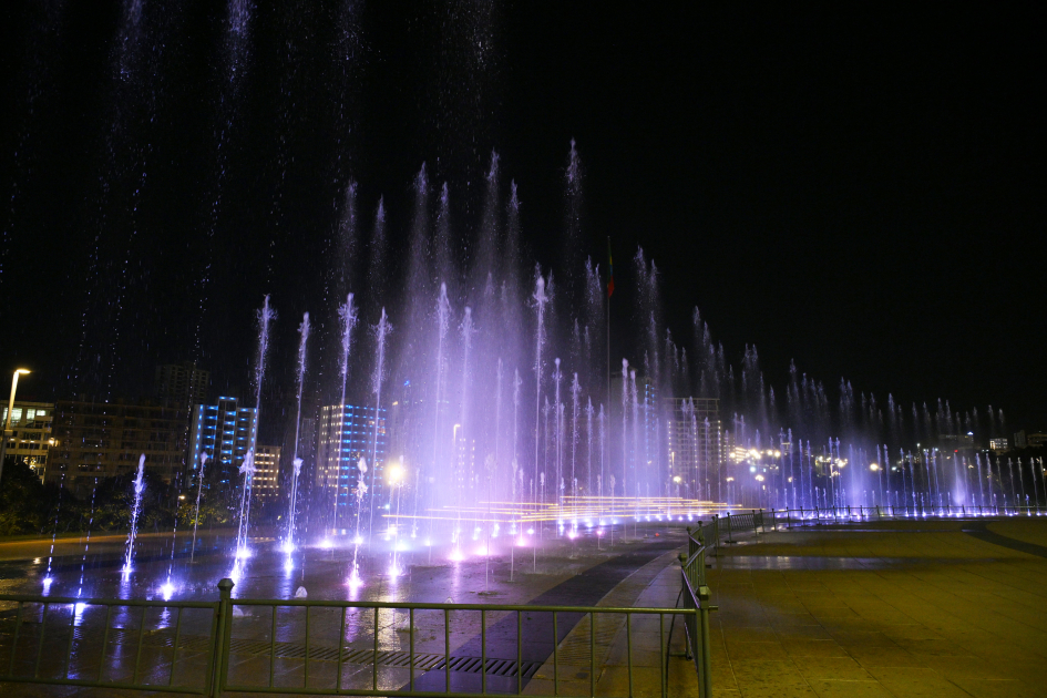 Leyla Əliyeva Efiopiyada səfərdədir (FOTO)