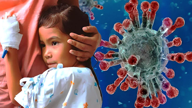 Azərbaycanda Nipah virusuna yoluxma halları var? (RƏSMİ)