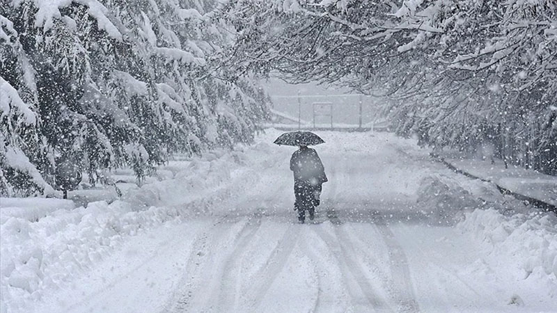 Yaponiyada qar fəlakəti: Ölənlərin sayı 35-ə çatır