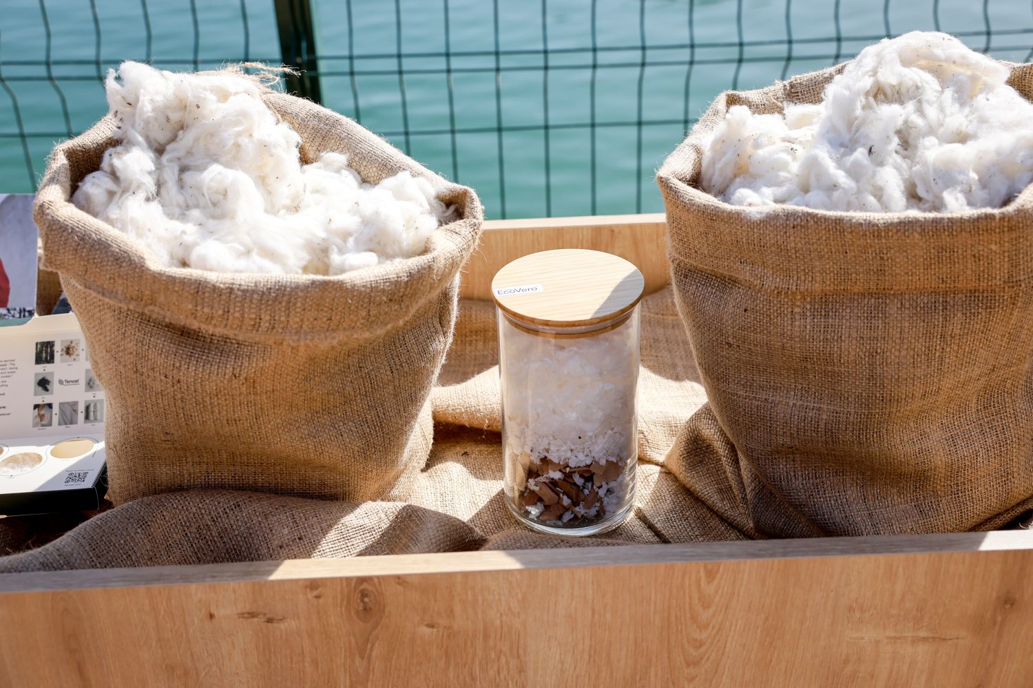 Trendyolmilla ilkə imza atıb: Regenerativ pambıqdan cins kolleksiyası