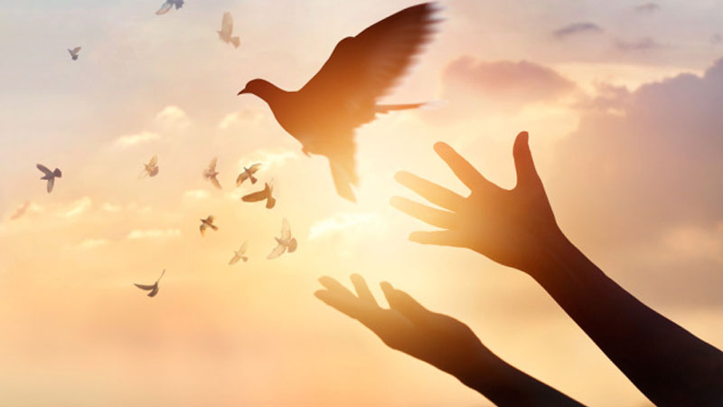 Frekansınızı yüksəltmək üçün 14 asan üsul: Olumlamalar, niyyətlər və xəyal lövhəsi