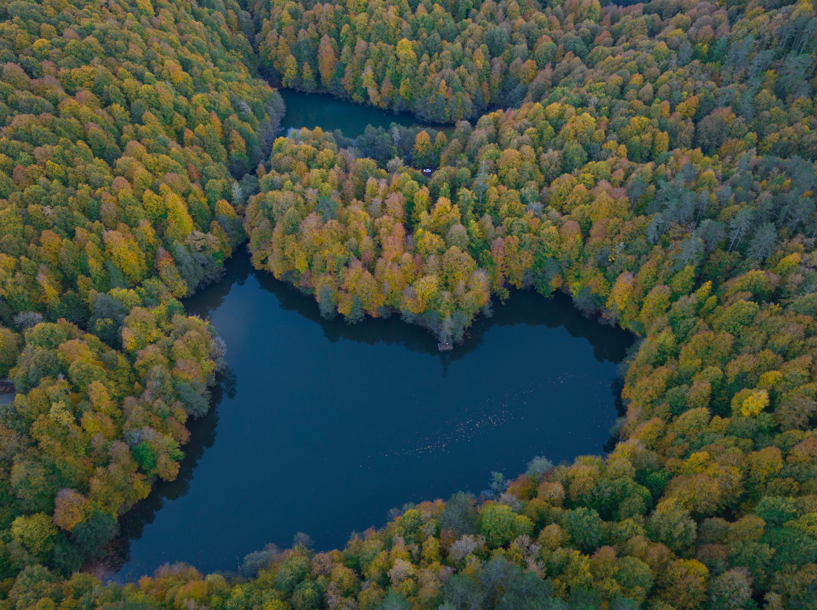Türkiyənin füsunkar Qara dəniz bölgəsində qış sehrini kəşf edin (FOTO)