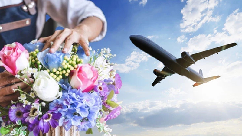 Çiçəklərin dünyaya zərər verir - Sevgililər günündə alarkən bir daha düşünün