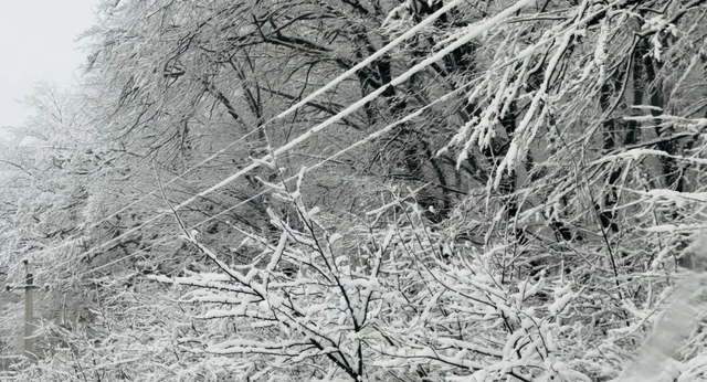 Bakı-Şamaxı-Yevlax yolu buz bağladı (FOTO)