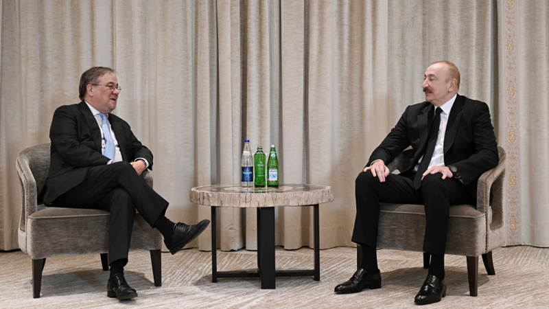 Prezident Bundestaqın xarici siyasət komitəsinin sədri ilə görüşdü (FOTO)