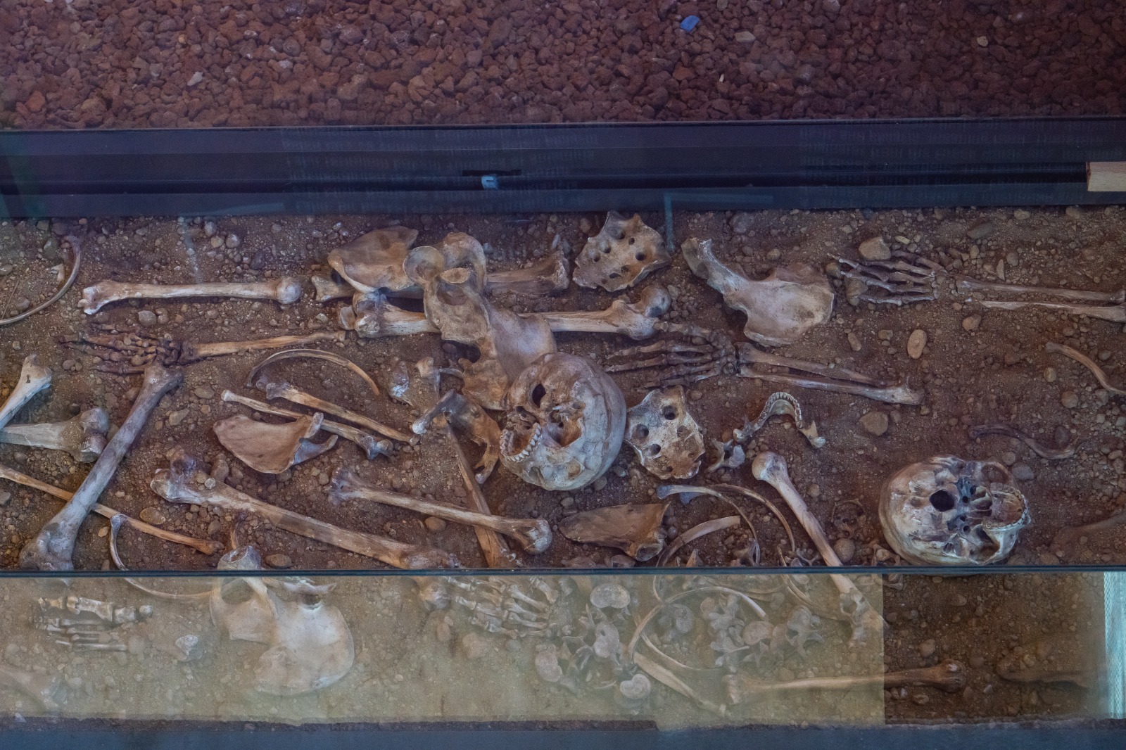 İstanbulun mozaika irsini Zeytinburnu Mozaika Muzeyində kəşf edin - FOTO