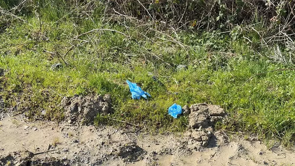 Dəhşətli qətl: Çinli milyoneri İstanbulda diri-diri basdırıblar (FOTO)