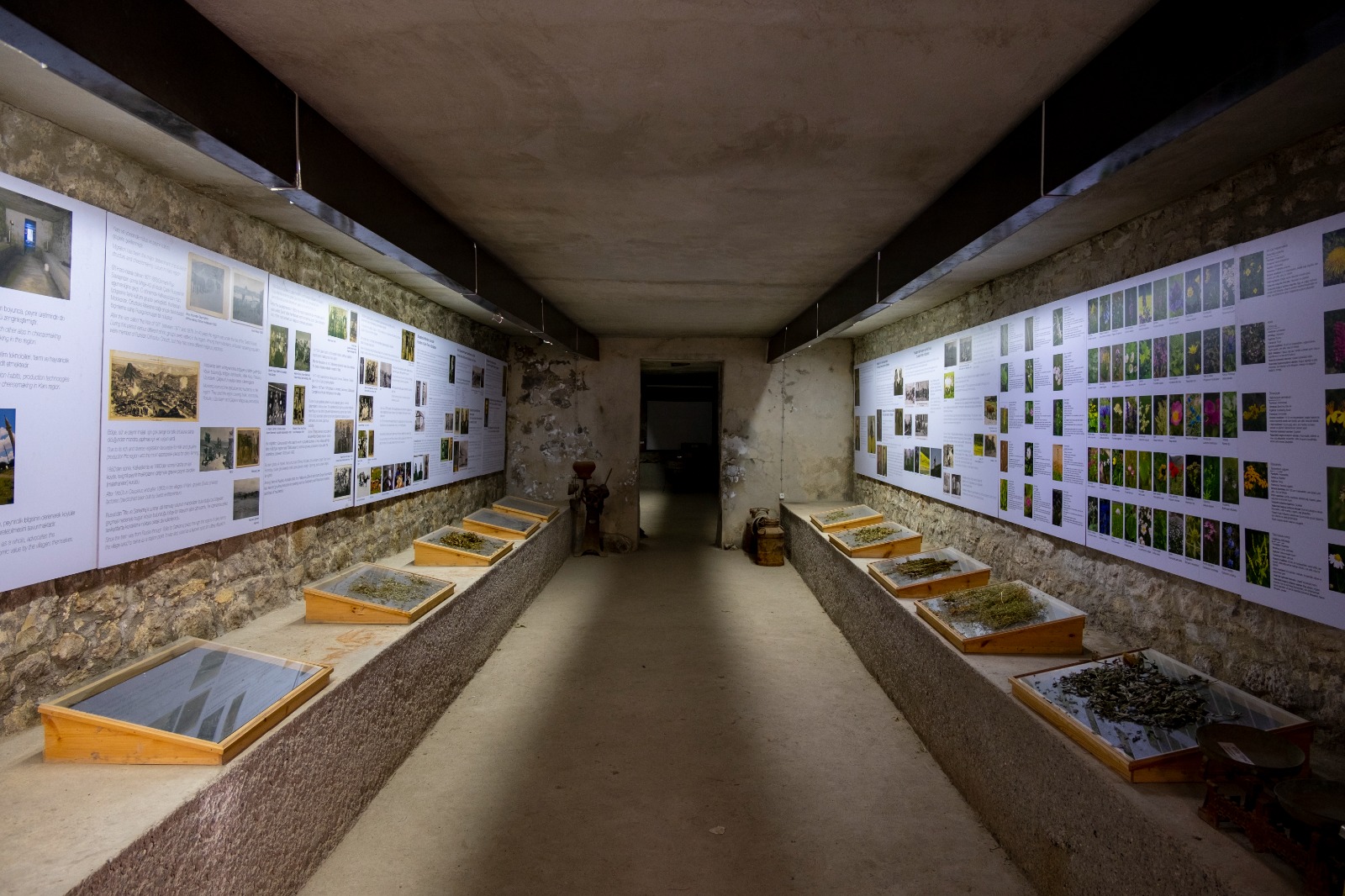 Anadolunu Turistik Şərq Ekspresi ilə kəşf edin: Unudulmaz qış səyahəti üçün əla fürsət (FOTO)