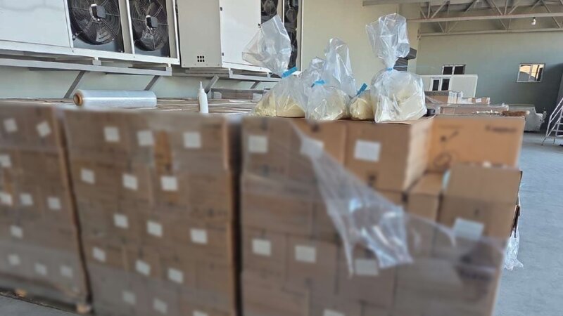 Palma yağı məhsulunun dövriyyəyə buraxılmasının qarşısı alındı