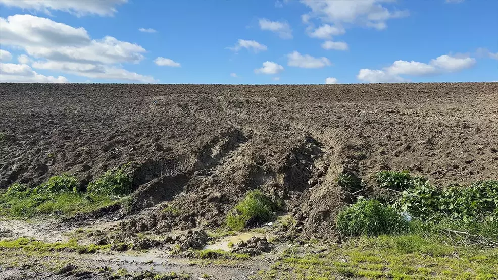 Dəhşətli qətl: Çinli milyoneri İstanbulda diri-diri basdırıblar (FOTO)