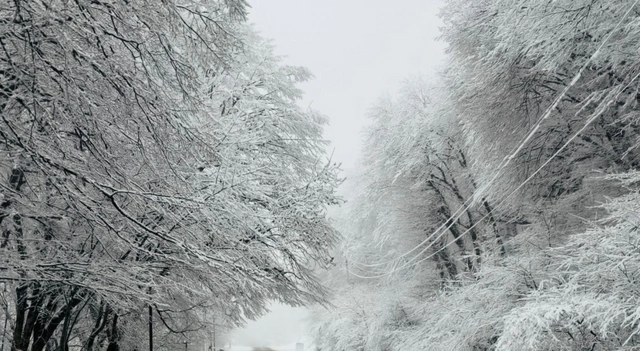 Bakı-Şamaxı-Yevlax yolu buz bağladı (FOTO)