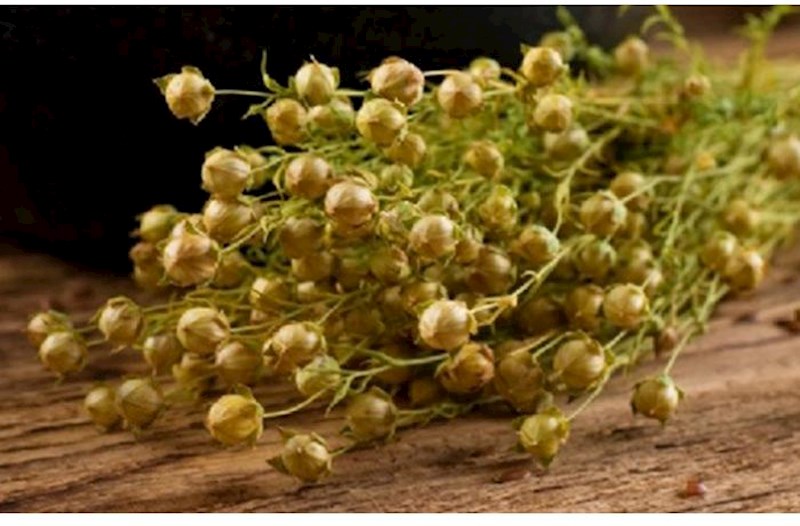 AZAL Rusiyaya bu bitkini aparan vətəndaşlara xəbərdarlıq etdi