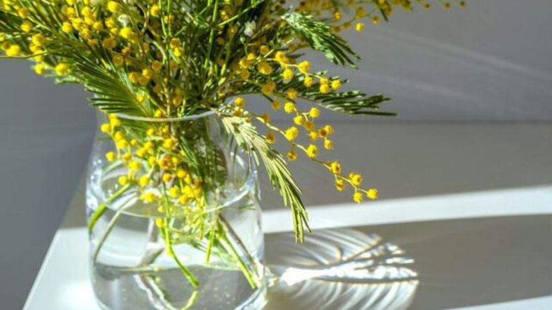 Evimizin enerjisini yüksəltmək üçün 7 sadə üsul