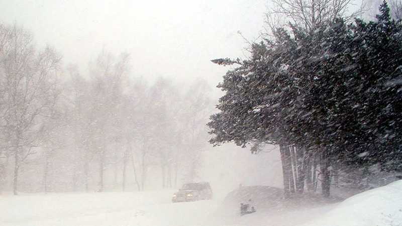 Azərbaycana Sibir mənşəli soyuq hava kütlələri daxil oldu - Çovğun müşahidə edilir
