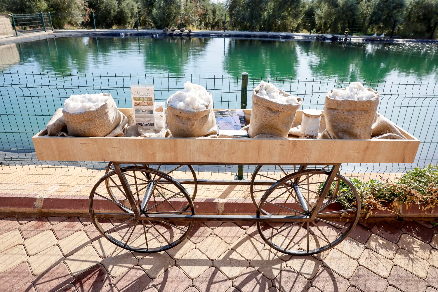 Trendyolmilla ilkə imza atıb: Regenerativ pambıqdan cins kolleksiyası