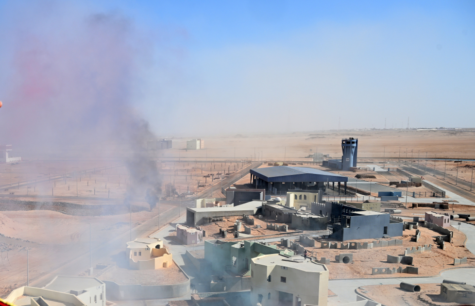 Azərbaycan və BƏƏ prezidentləri 