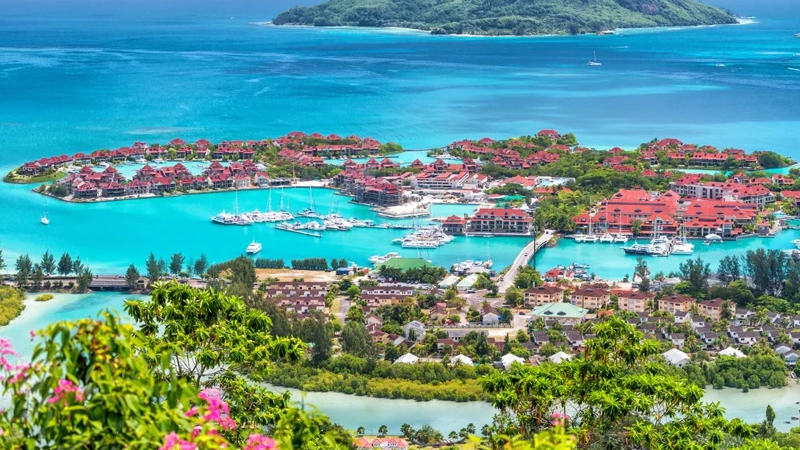 Çikunqunya həyəcanı: Tropik cənnətlərə gedənləri bu dəfə günəş yox, virus gözləyir