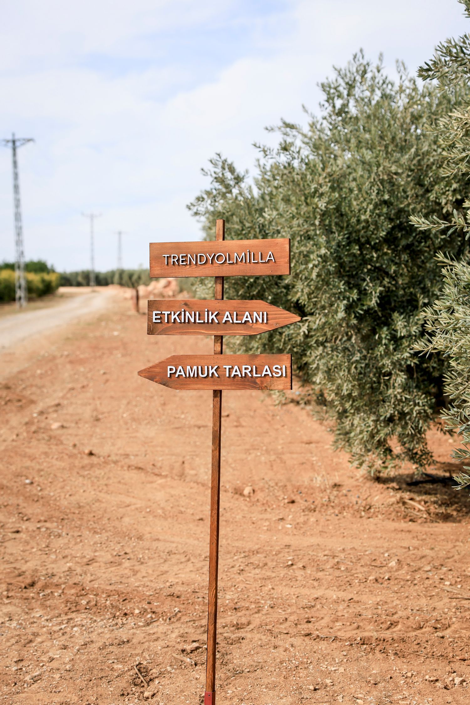 Trendyolmilla ilkə imza atıb: Regenerativ pambıqdan cins kolleksiyası