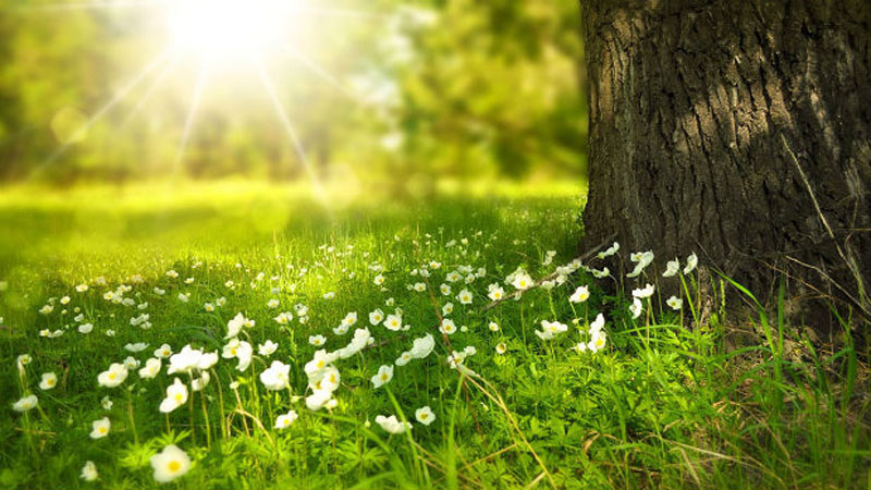 Sabah 17 dərəcə isti olacaq