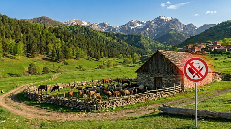 Ət bazarını gözləyən inqilabi dəyişiklik: Qiymətlər artacaq?