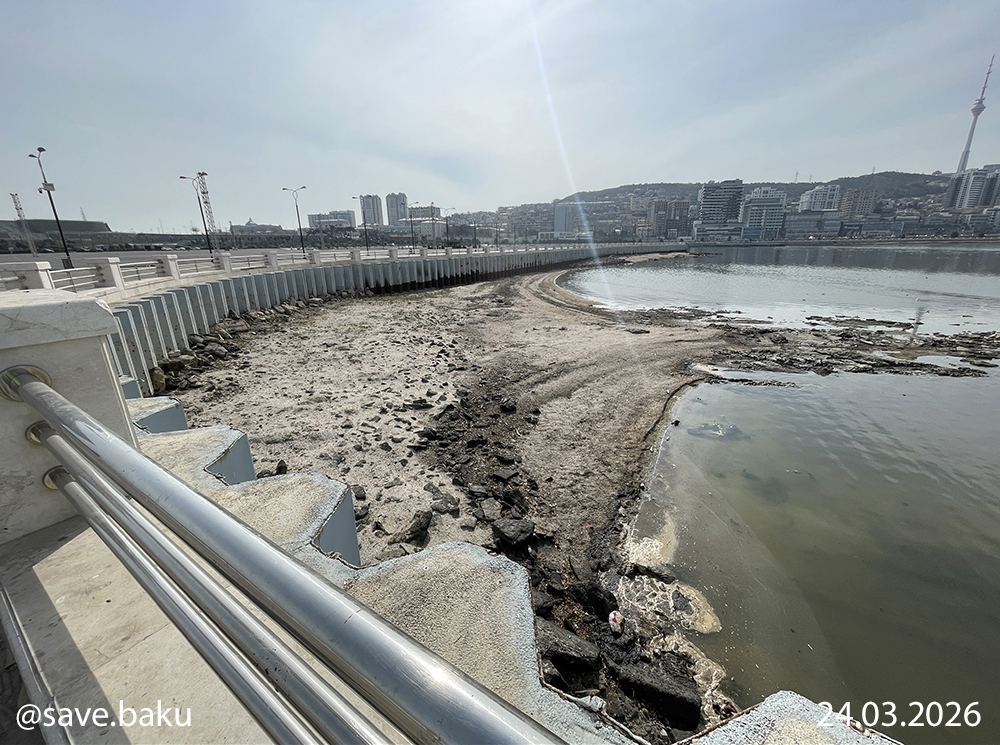 Xəzər geri çəkilir: Bakı buxtası ilə bağlı həyəcan siqnalı (FOTO)