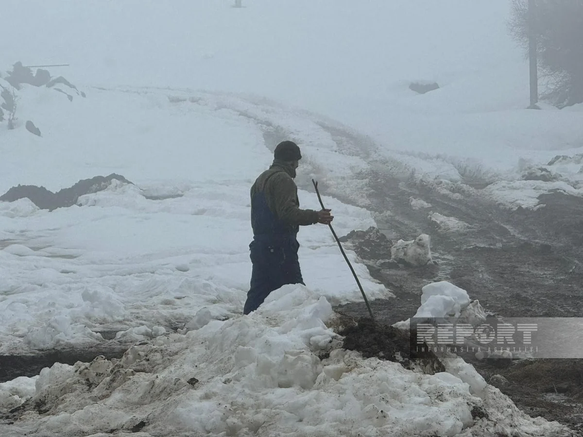 Fərqli inanclar, eyni həyat: Cəmi bir azərbaycanlı ailənin yaşadığı Gürcüstanın çoxmillətli kəndi