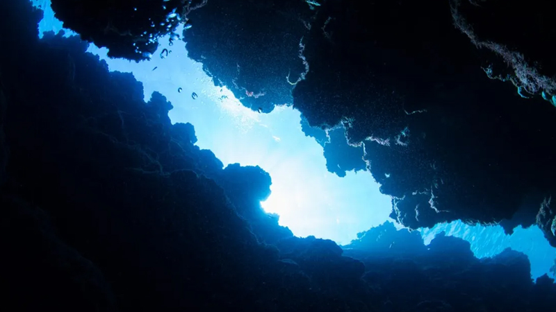 Atlantikdə 500 km-lik kanyon Yer daxilindəki qüvvələrin təsiri ilə yaranmış ola bilər