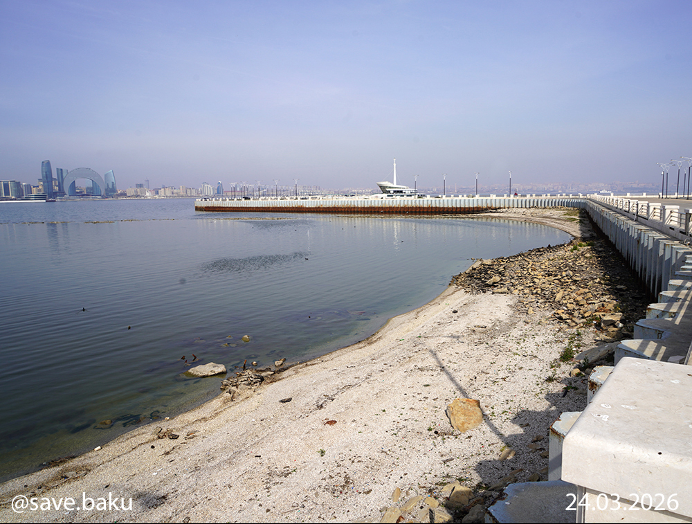 Xəzər geri çəkilir: Bakı buxtası ilə bağlı həyəcan siqnalı (FOTO)