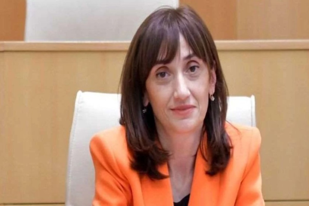 Gürcüstan parlamentində Azərbaycanla dostluq qrupuna yeni üzv əlavə edildi